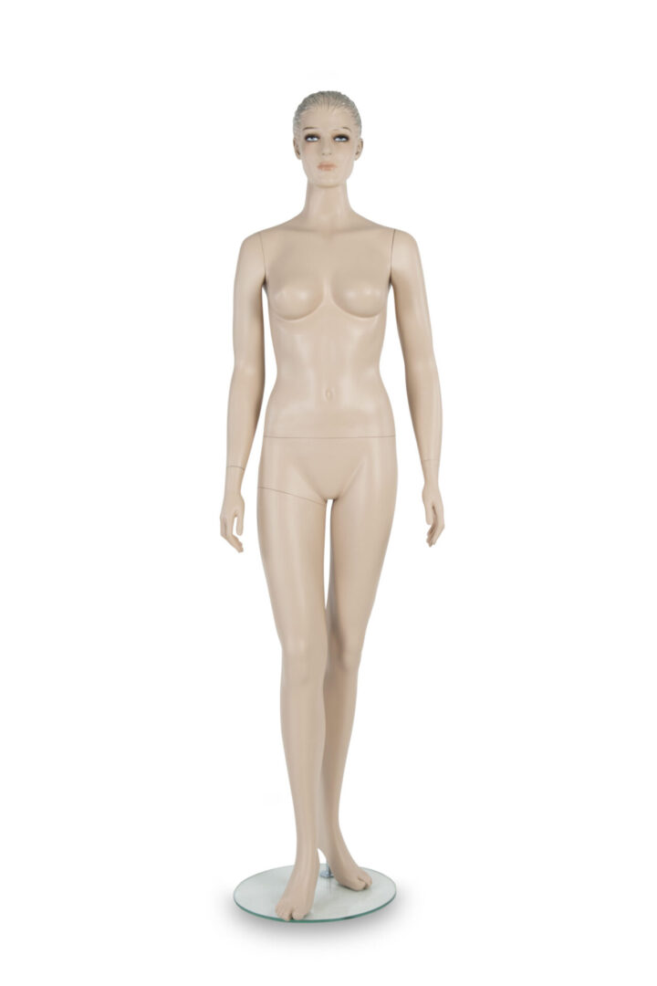 BaByliss Pro Premium Female Competition Mannequin with Shoulders – Absolute  Beauty Source
